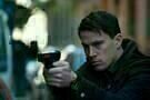 Haywire 16