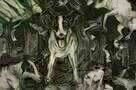 Heart of a Dog 04
