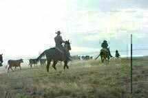 Hell or High Water 01