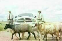 Hell or High Water 04