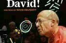 Hello I Am David - Plakat