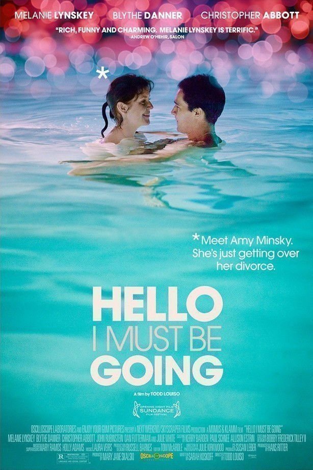 Hello I Must Be Going - Poster