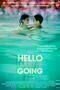 Hello I Must Be Going - Poster