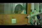 Hilfe, unser Lehrer ist ein Frosch - Trailer