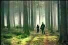Hinter Kaifeck
