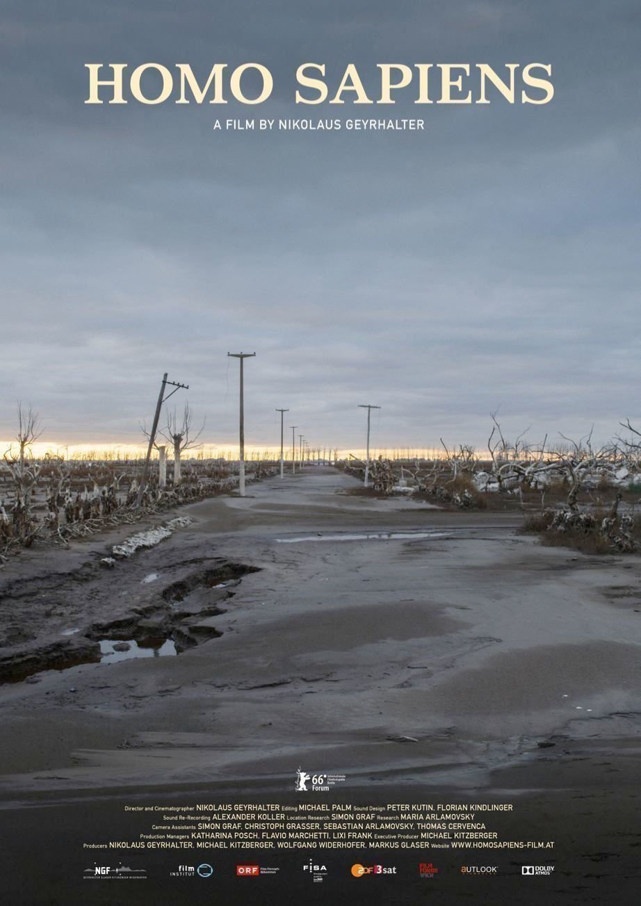 Homo sapiens - Poster Homo sapiens - Poster