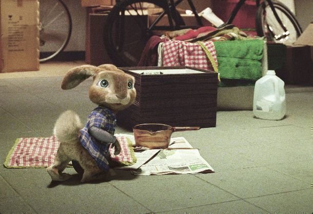 Hop 06