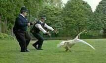 Hot Fuzz