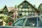 House Bunny