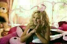 House Bunny
