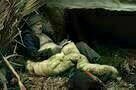 Hunt for the Wilderpeople 10