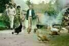 Hunting Party