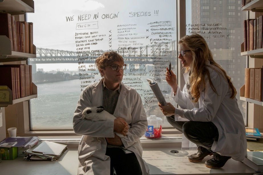 I Origins 06
