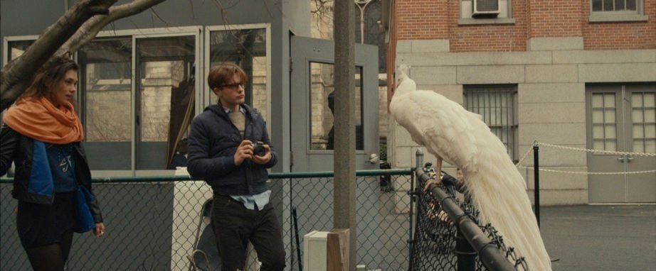 I Origins 13
