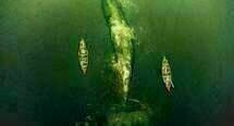 Im Herzen der See 01