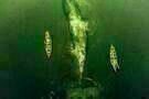 Im Herzen der See 01