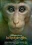Im Reich der Affen - Plakat