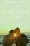 In Bloom - Poster