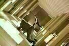 Inception