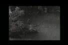 Independencia - Trailer