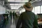 Inherent Vice - Trailer