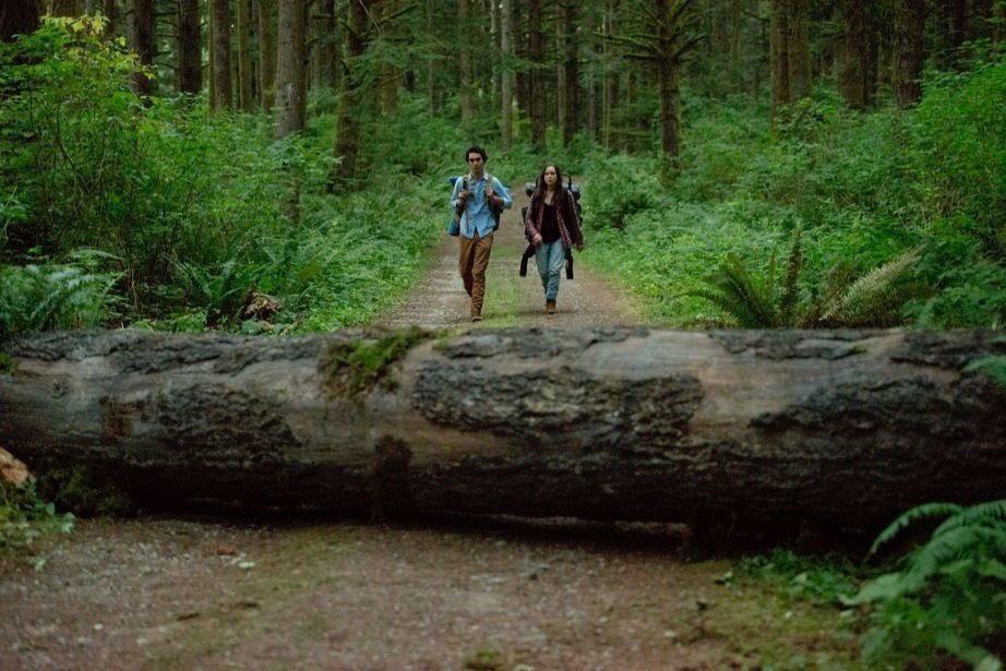 Into the Forest 03