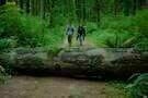 Into the Forest 03