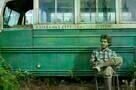 Into the Wild