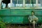 Into the Wild