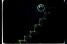 Is the Man Who Is Tall Happy?: An Animated Conversation with Noam Chomsky - Trailer