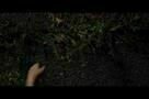 It Follows - Trailer