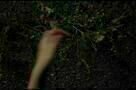 It Follows - Trailer