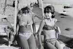 It's a Bikini World