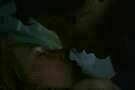 Jack and Diane 14