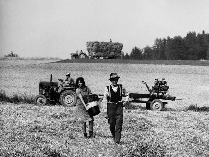 Jagdszenen aus Niederbayern 7