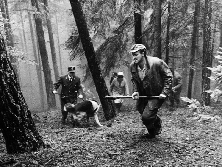 Jagdszenen aus Niederbayern 8