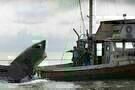 Jaws 2