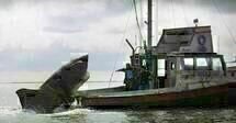 Jaws 2