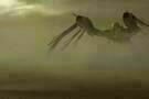John Carter 1