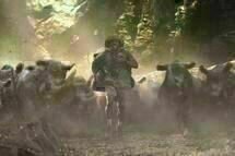 Jumanji - Welcome to the Jungle 6 Jumanji - Welcome to the Jungle 6