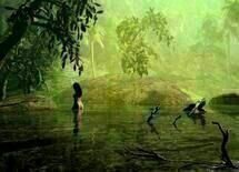 Jungle Love
