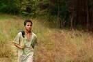 Just the Wind 1