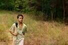 Just the Wind 1