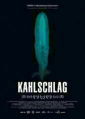 Kahlschlag