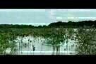 Kalayaan - Trailer