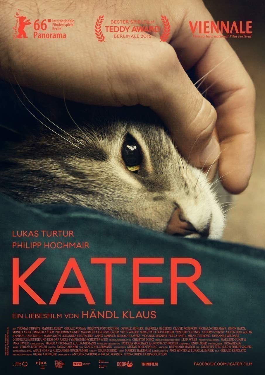 Kater - Plakat