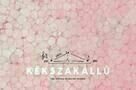 KEKSZAKALLU - Poster