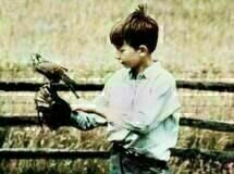 Ken Loach: Kes