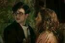 Kill Your Darlings 14
