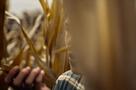 Kinder des Zorns - Trailer